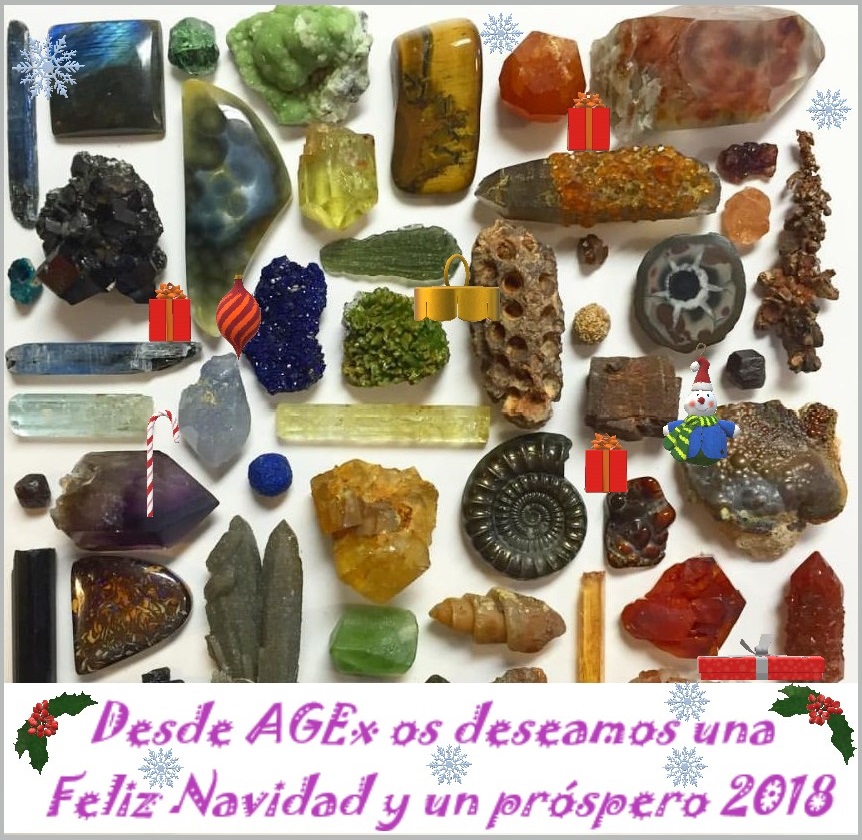 Navidad agex 2017